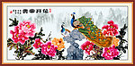 国画 中国画 花开富贵