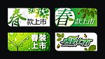 春款上市