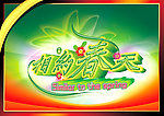 相约春天