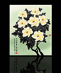 牡丹花