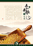 大麦 五谷杂粮