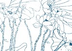 瑶池荷仙花 国画