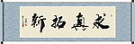求真拓新书法