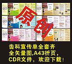 齿科宣传单（三折页）
