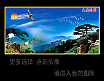 大展鸿图