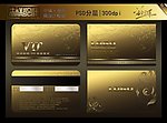VIP卡片