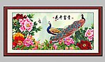 花开富贵国色天香