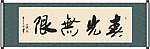 春光无限书法
