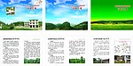 新农村资料汇编