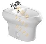 妇洗器