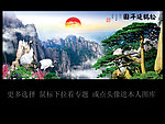 迎客松