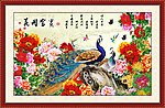花开富贵