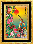牡丹花