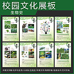 校园文化展板 生物史
