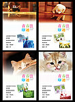 新版本本