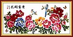 牡丹花