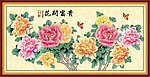 牡丹花