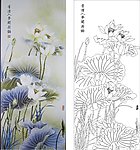 荷语 荷花 莲花