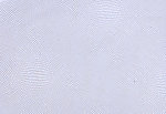 蛇皮纹