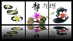 石中花