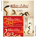 2013 年会