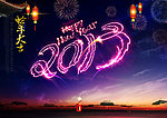 2013 蛇年