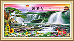黄山迎客松