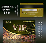VIP 会员卡 金卡