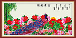 富贵花开
