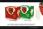品牌策划与包装设计 （平面图）