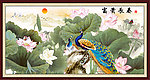 荷花 花开富贵