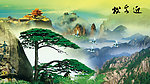 黄山迎客松