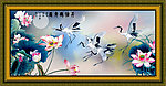 荷花 丹顶鹤