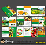 最新的蔬果画册