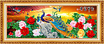 孔雀 牡丹 巨幅