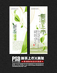 新茶上市 茶 茶文化