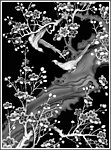 浮雕灰度图