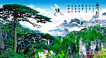 黄山迎客松