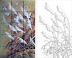 芦苇