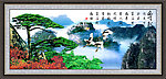 黄山迎客松