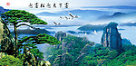 黄山迎客松