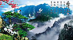 黄山迎客松