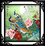 国画 牡丹孔雀