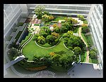 办公楼内庭屋顶花园