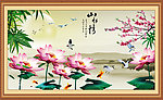 荷花
