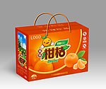 柑桔 桔子 橘子 （平面图）