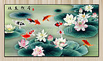 荷花鱼a 004