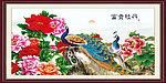 富贵牡丹