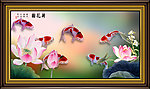 荷花鱼