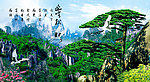 黄山迎客松